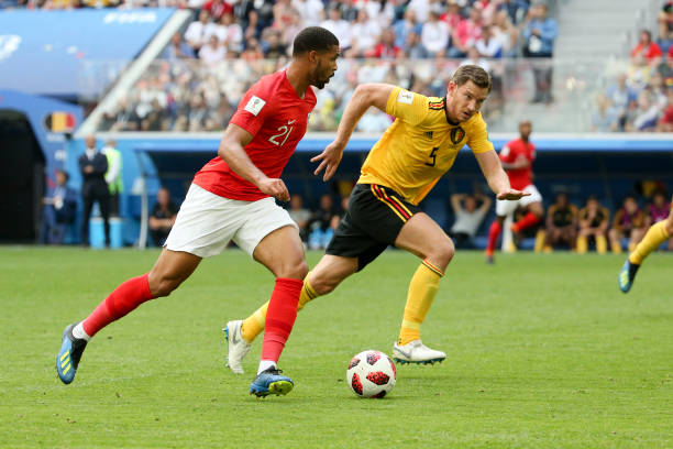 整不仅突显 整不仅突显